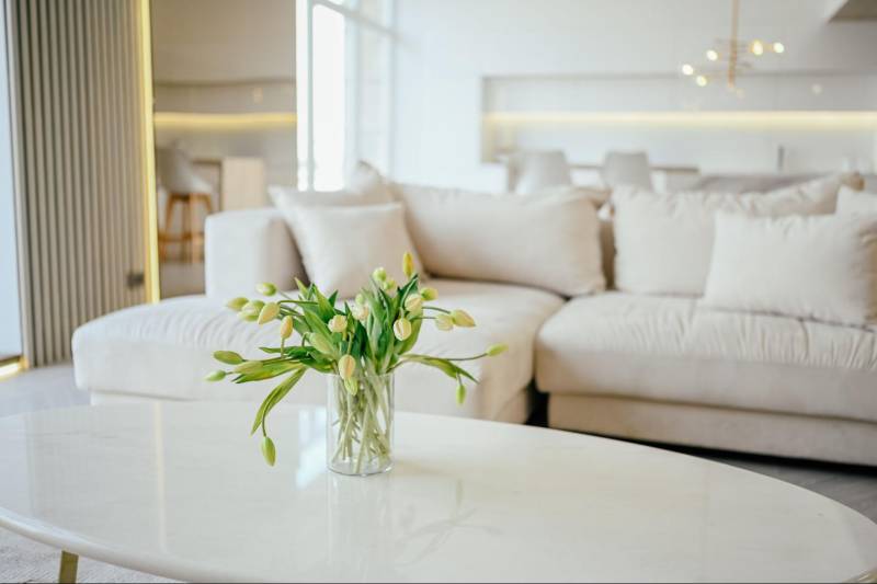 （二）日本購物平台｜家居雜貨與生活用品